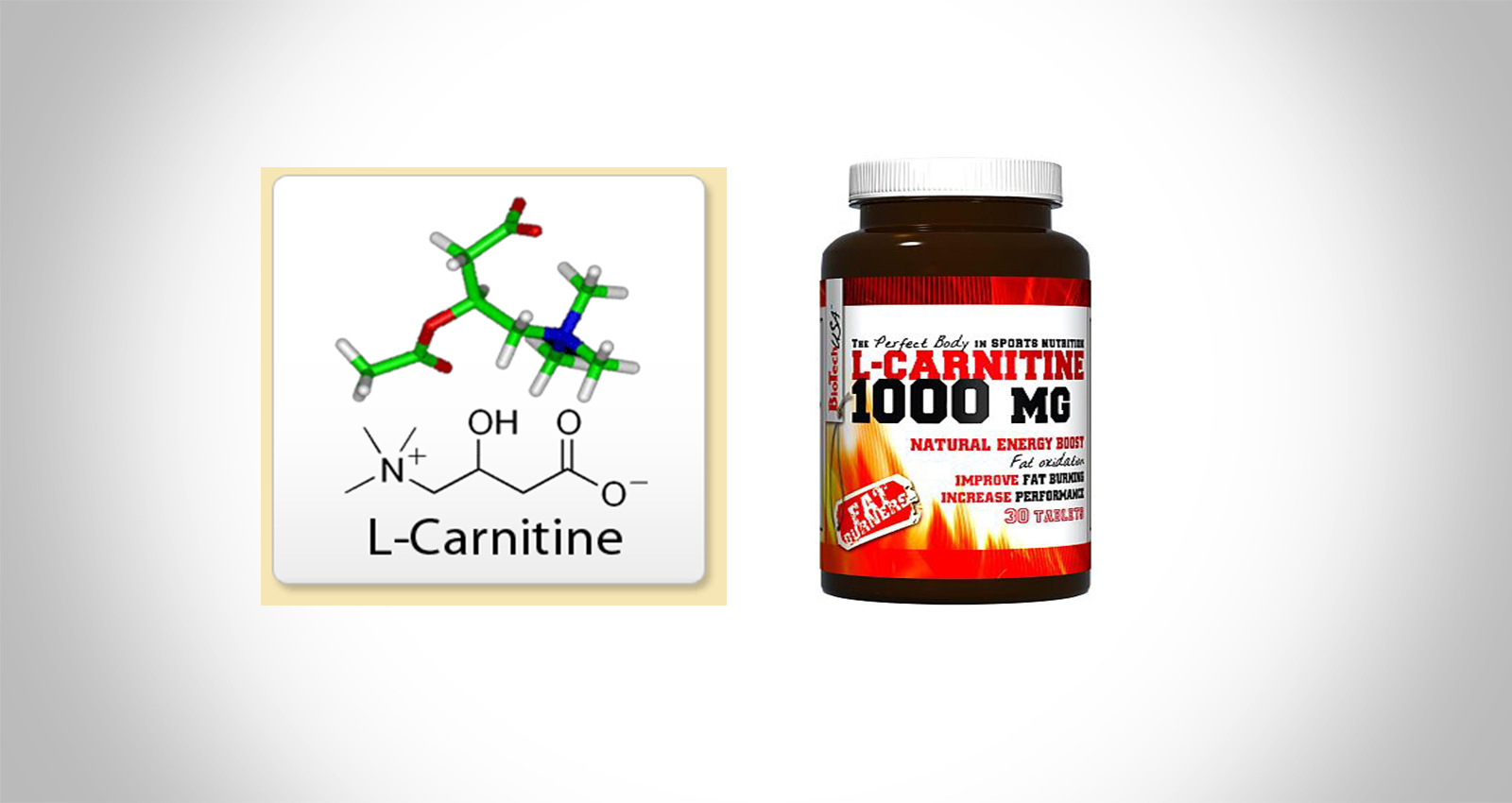 l carnitine qatar Snap Supplements L-Carnitine Amino Acid Preworkout