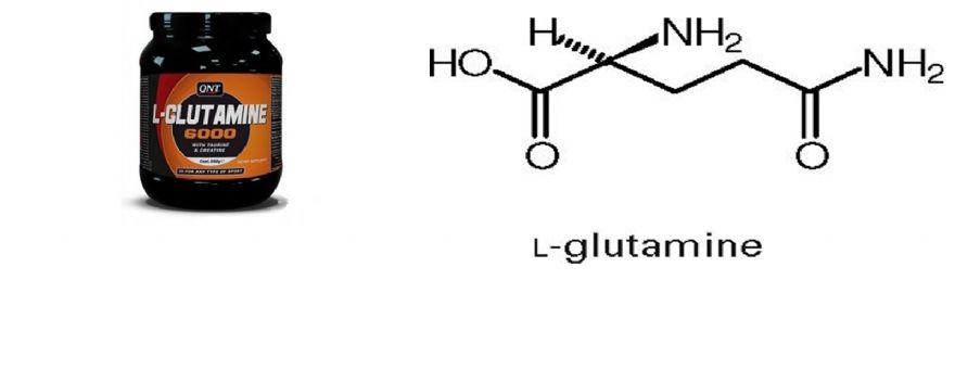 Glutamin Nedir Glutamin Nedir