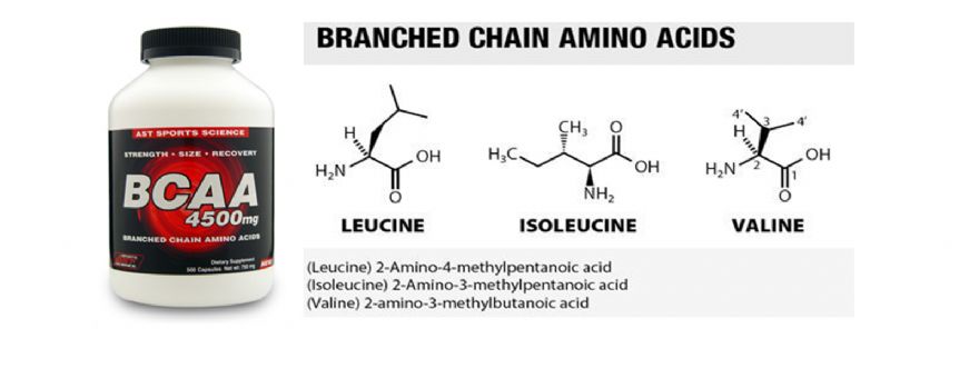 china bulk l carnitine manufacturer L-Carnitine Fumarate Powder